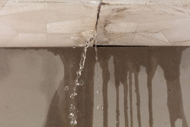 Professional Water Damage Repair technician working in George West, TX